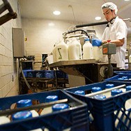 Počela gradnja mljekare u Laktašima