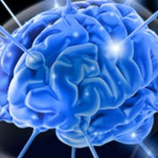 Naučnici 'provalili u ljudski mozak'