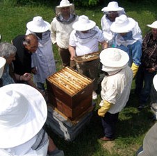 Regionalni pčelarski centar u Trebinju: Završetak prve faze izgradnje u avgustu