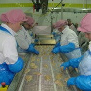 Projekt izgradnje mesne industrije u Skelanima vrijedan 8 miliona KM