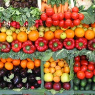 'Delta Maxi' otvorio regionalni centar za otkup voća i povrća u Bijeljini - proizvodi iz Semberije i u Srbiji i Rusiji