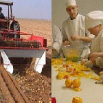 PKKS: Privrednicima prezentirani sistemi za sigurnost hrane