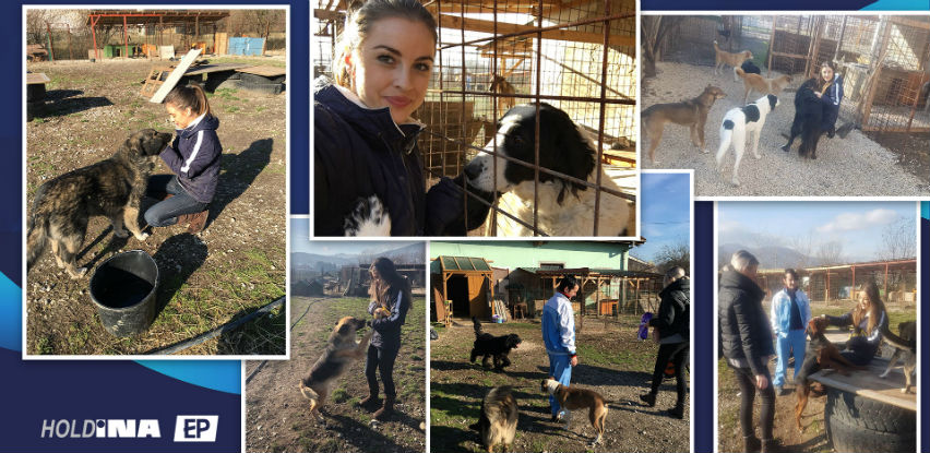 Volonteri kompanije Holdina radili na pomoći azilu za pse u Gladnom Polju