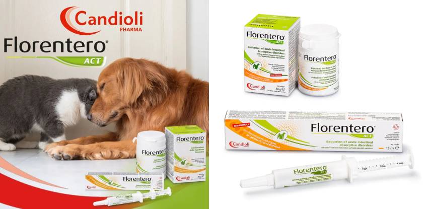 Florentero ACT – ukusne tablete i pasta za pse i mačke