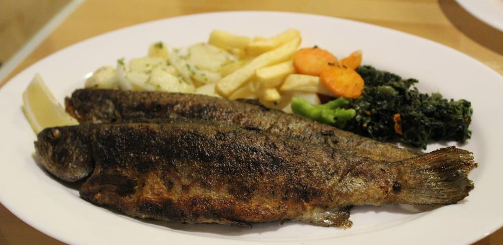 Osjetite svu slast ribe u Restoranu 'Izvor' u Travniku