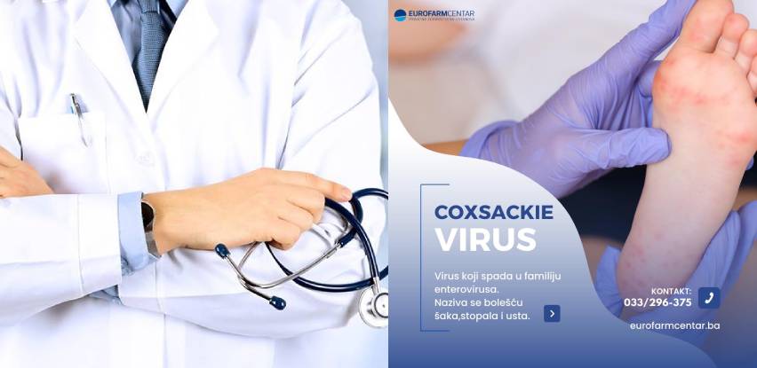 coxsackie / koksaki virus