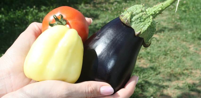 Zdravo, domaće i ukusno povrće u Centru Fenix po povoljnim cijenama