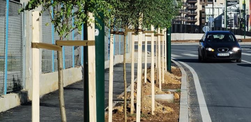 Ulica Džemala Bijedića obogaćena sa više od 250 novih stabala