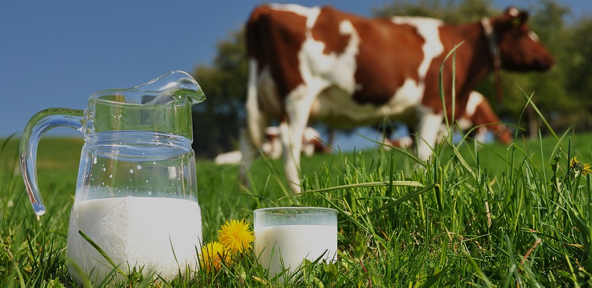 oprema za mljekare mljekarstvo farmeri itc zenica online shop