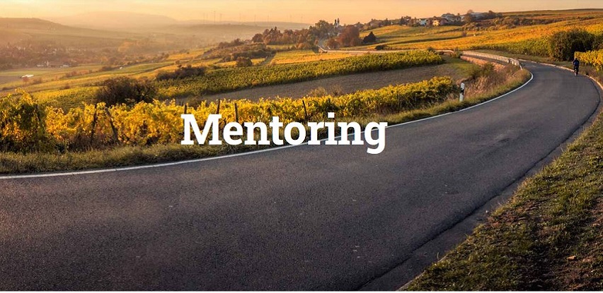 Šta je mentoring?
