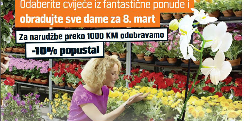 OBI je pripremio specijalnu ponudu cvijeća za 8. mart