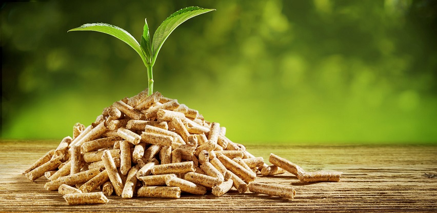 bioConcept bavi se proizvodnjom drvenog peleta fokusiran na domaće tržište